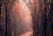 世预赛+欧国联再战!各主要国家队大名单一览.:江南体育