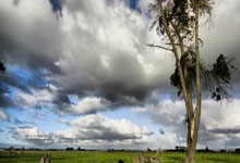 赛后情书:曼联不敌森林全员梦游,皇马绝杀皇社晋级决赛.