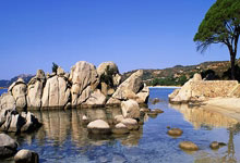 夸张!国足主场对澳大利亚票价被炒到16667元.